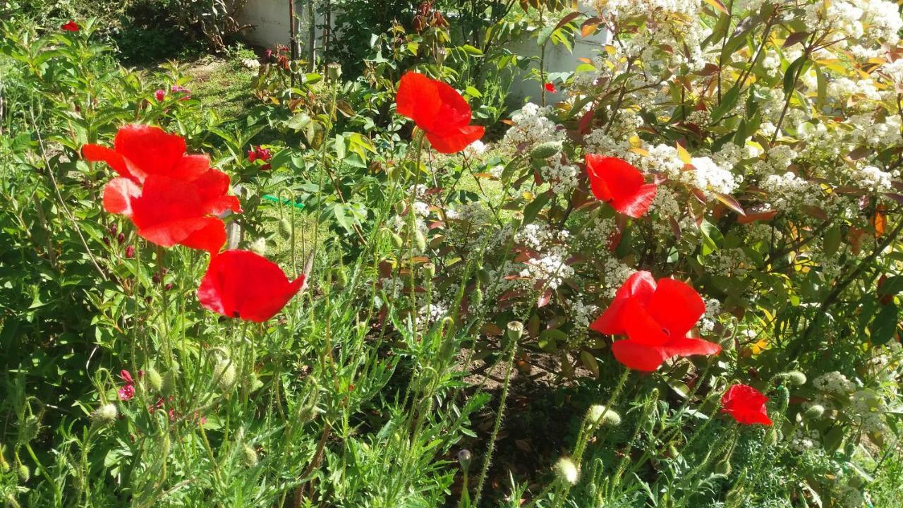 Kymina Home Katerina מראה חיצוני תמונה